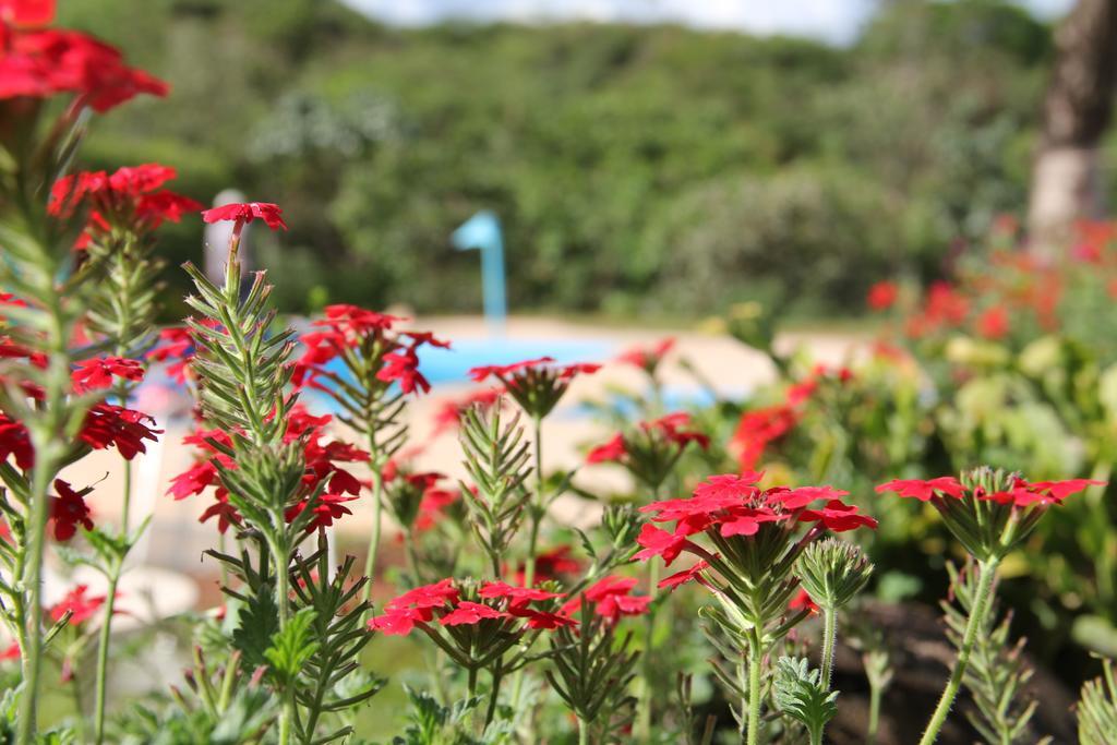 Estalagem Florada Na Serra *